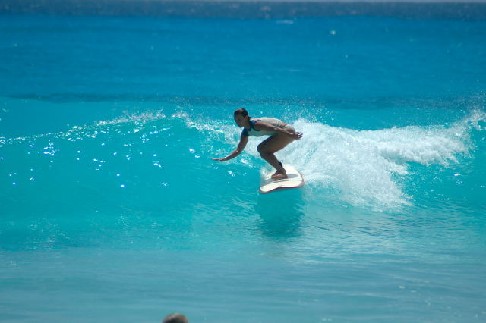 Surfing Lessons Camps Turtle Tours Surf School North Shore Oahu Hawaii